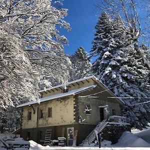 Casa Delle Guardie B&B Madonna di Fornelli Exterior photo