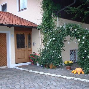 Haus Obermayer Apartment Laufen Exterior photo