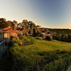 O'Reilly'S Rainforest Retreat Hotel Canungra Exterior photo