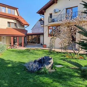 Casa Irinella Bed & Breakfast Satu Mare Exterior photo