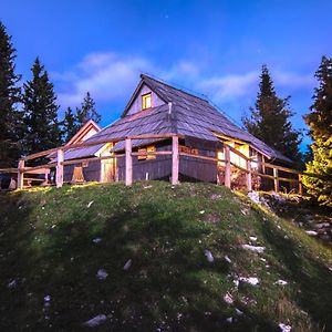 Koca Bistra - Velika Planina Villa Stahovica Exterior photo