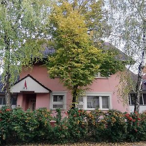 Balogh Vendeghaz Hotel Szeged Exterior photo