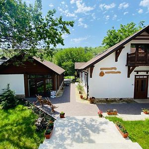 Valea Stancii Hotel Trebujeni Exterior photo