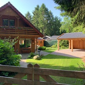 'T Holten Huus - Puur Genieten In Het Bos. Villa Norg Exterior photo