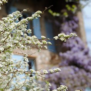 Chambre Privative Et Originale, A 20 Mn De Cluny Bed & Breakfast Trivy Exterior photo