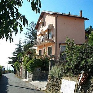 La Tana Del Tasso Ventimiglia Bed & Breakfast Exterior photo