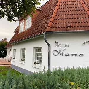 Hotel Maria Greifswald Exterior photo