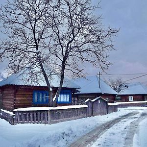 Casuta Tivadar Hotel Breb Exterior photo