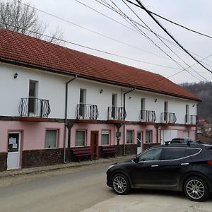 Pensiunea Lucica Hotel Sacelu Exterior photo