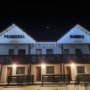 Pensiunea Rares Hotel Talpasesti Exterior photo