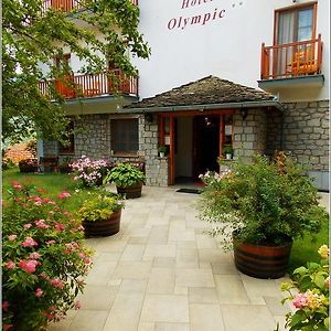 Hotel Olympic Metsovo Exterior photo