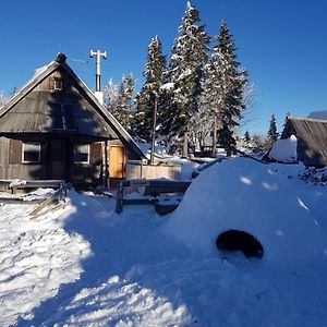 Chalet Encijan - Velika Planina Villa Stahovica Exterior photo