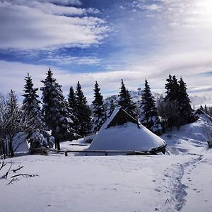 Chalet Resa - Velika Planina Villa Stahovica Exterior photo