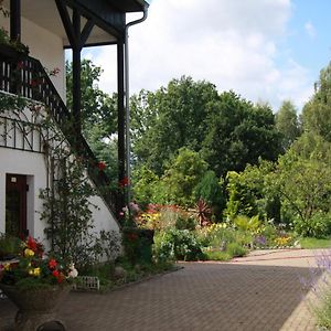 Gasthof & Pension Palmenhof Hotel Leegebruch Exterior photo