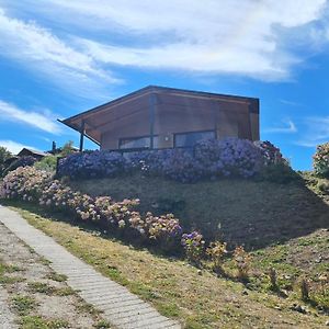 Turismo Del Bosque Apartment Castro Exterior photo