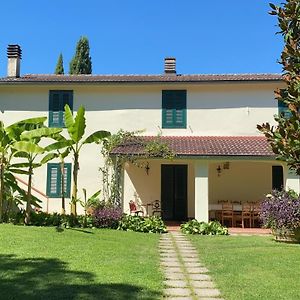 Casa Del Pino Bed & Breakfast Borgo a Buggiano Exterior photo