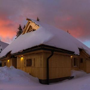 Koca Zafran - Velika Planina Villa Stahovica Exterior photo