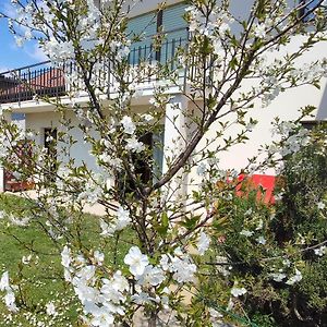 Borgo Antico Locazione Turistica Apartment Sedico Exterior photo