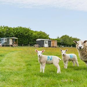 Take Time Shepherd'S Huts By Bloom Stays Egerton  Exterior photo