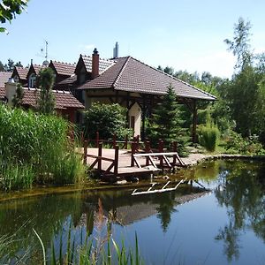 Ivanek Guest House Zvikovske Podhradi Exterior photo