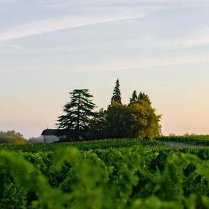 Vandenbeld Wines B&B Minzac Exterior photo