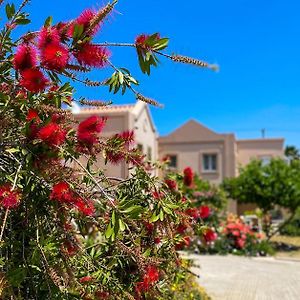 Casa Verde Houses Kos Town Exterior photo