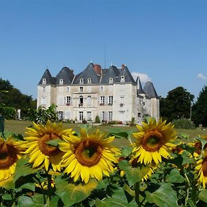 Chateau De Piolant Bed & Breakfast Dange-Saint-Romain Exterior photo