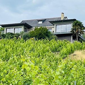 Maison Des Coteaux Blancs Villa Chaudefonds-sur-Layon Exterior photo