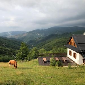 Chata Marguska - U Fera Villa Oscadnica Exterior photo