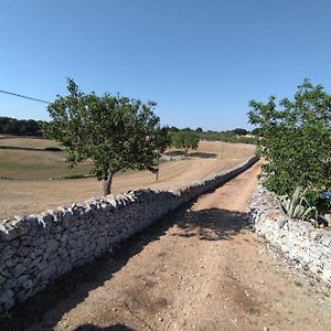 Masseria Catucci Agriturismo Alberobello Exterior photo