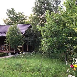 Галіція Villa Beloberezka Exterior photo