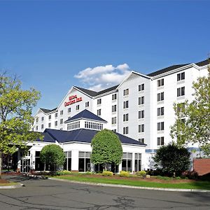 Hilton Garden Inn Springfield, Ma Exterior photo