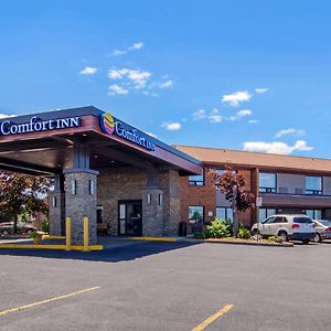 Comfort Inn Saint Catharines Exterior photo