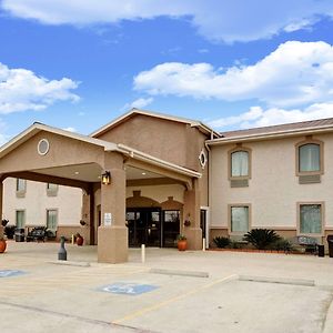 Quality Inn Rockdale Exterior photo