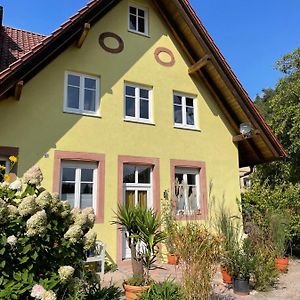 Appartement Auf Dem Gutshof Klingenmuenster Exterior photo