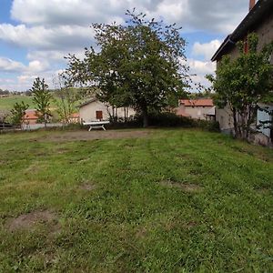 Studio Chaleureux Dans Les Monts Du Forez Villa Verrieres-en-Forez Exterior photo