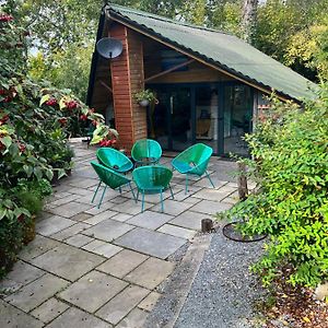 The Shed . A Cosy, Peaceful, 96% Recycled, Chalet. Apartment Swansea Exterior photo