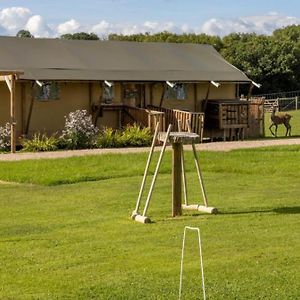 Luxury Safari Lodge Surrounded By Deer!! 'Roe' Crediton Exterior photo