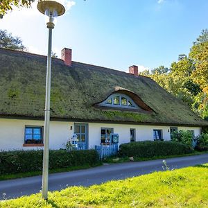 Luett Stuuv Am Dorfanger Apartment Barth Exterior photo