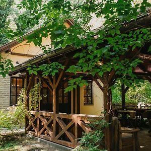 Forest House Palic Exterior photo
