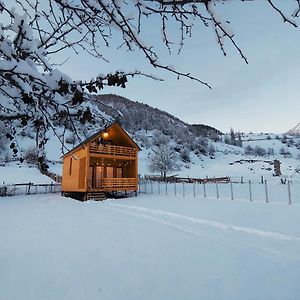 Wood House Guest House Mestia Exterior photo