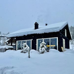 Great Cabin In Hemsedal Wifi Golf Ski Eldorado Villa Exterior photo