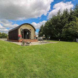 Woodland View Villa Rhayader Exterior photo