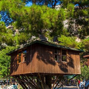 Gorge Club Hotel Oludeniz Room photo