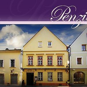 Penzion U Lucerny Hotel Jindřichŭv Hradec Exterior photo