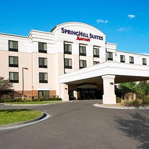 Springhill Suites By Marriott Omaha East, Council Bluffs, Ia Exterior photo