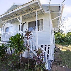 ~New Stylish Boho 2Br In Hilo~ Villa Exterior photo