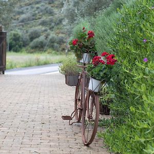 Opora Country Living Guest House Nafplio Exterior photo