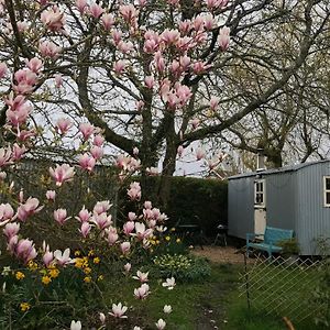 The Wayside Shepherd Hut Villa Beaulieu Exterior photo