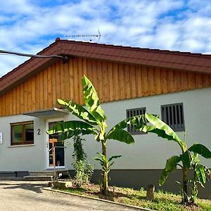 Pension Am Hohberghof Dielheim Exterior photo